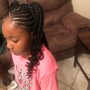 Ponytail, side braids, cornrows