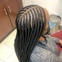 2 strand Twists/ comb twist