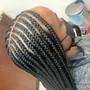 Small/ medium Box Braids