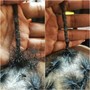 Micro Braids (adults)