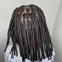 Box Braids LARGE