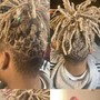 Starter Locs