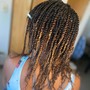 2 Strand Twist Out/Braid Out