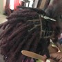 Loc Extensions Hair Included