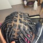 Kid's Knotless Braids