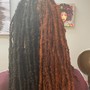 Hair Color  (Locs-Full head)