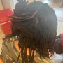 Starter Locs