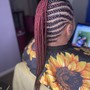 3-4 Feed-in Braids