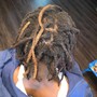 Kids Shampoo Retwist and Style