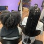 Root Touch Up