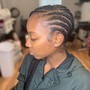 Beginning Locs (comb twist)