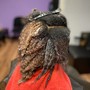 Beginning Locs (comb twist)