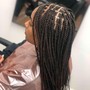 Small Knotless/ Box Braids