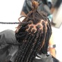 Starter Locs