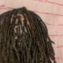 Beginner Locs (Ear Length)