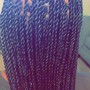 Senegalese Twist(Small)