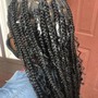 Kids Large Box Braids