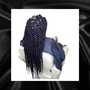 Medium Senegalese Twist