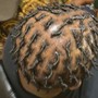 Starter locs ( Shaved Sides)