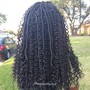 Spring Twists/Nubian Twists