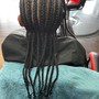 Wash conditioner scalp treatment Braid bar style with ponytail with extension hair