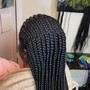 Megan Inspire Faux Locs