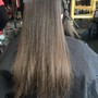 Root Touch Up