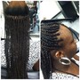 Knotless Braids Medium