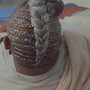 (4) feed-in Braids