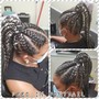 Feed in Braids into a  Ponytail