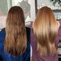 Root Touch Up +Haircut +Blow-dry Style