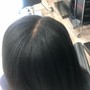 Root Touch Up