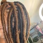 Starter Micolocs/Sisterlocs