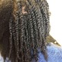 Two Strand Twist (Half)