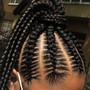 Lemonade Feed-in Braids