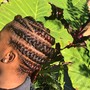 Lemonade Feed-in Braids