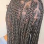 Kids knotless Braids