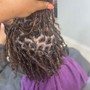 Starter locs (2 strand twist) small