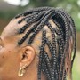 Slick High Braided Ponytail