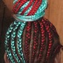 Individual Braids (just the top)