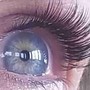 Volume Eyelash Fill