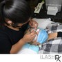 Lash Technician Certification Course WEB SPECIAL!!!