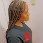 Braided ponytail w hair added  ( medium , mid-back)