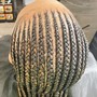 Small braids (braided into style) no hair added