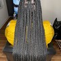 Medium tribal braids w/knotless (midback)