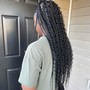 Back Length Butterfly Locs