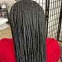 Box Braids