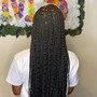 Small tribals -Straight to the back Braids