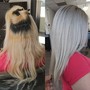 Single Color Root Touch Up