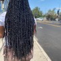 Luv luxe locs butt length